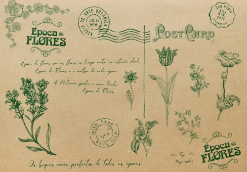 PAPEL DE EMBRULHO SEDA