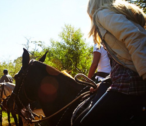 Fazenda São Silvano
